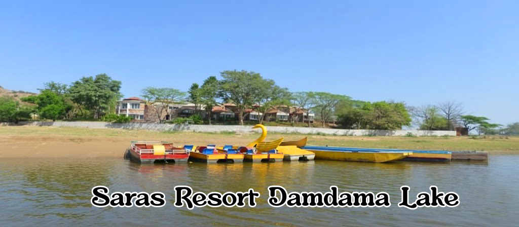 Poolside Paradise Resort - resort picnic pool near Delhi