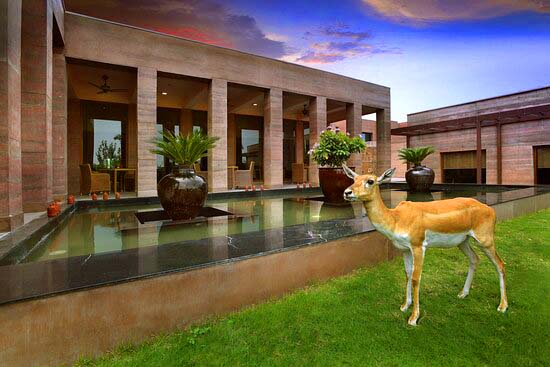Botanix Nature Resort - resort picnic pool near Delhi