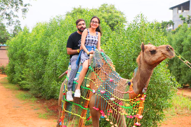 Asola Bhatti Sanctuary - hidden nature lake forest near Delhi