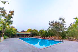 Neelam Nagar Pond - hidden nature lake forest near Delhi