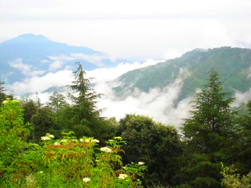 Chail hill station offbeat getaway from Delhi
