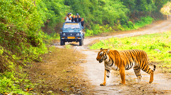 Durga Devi zone Jim Corbett birdwatching river
