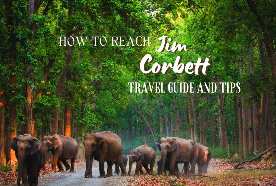 Sitabani buffer zone Jim Corbett walking safari