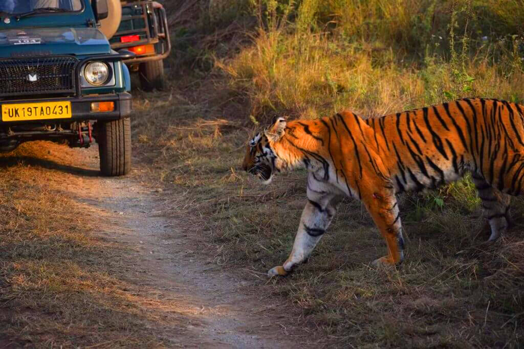 Jim Corbett family safari tour package children friendly